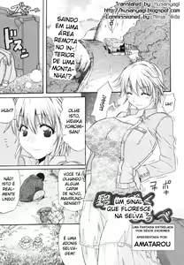 Page 122 of Daisy! - preview thumbnail