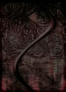 Page 4 of El-tentacle Birth Lady's Mk.A PHASE-3 2of2 - preview thumbnail