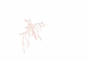 Page 1167 of 莎可莉与坠落之都 - preview thumbnail