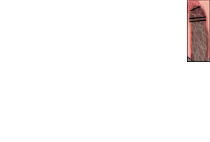 Page 1392 of 莎可莉与坠落之都 - preview thumbnail