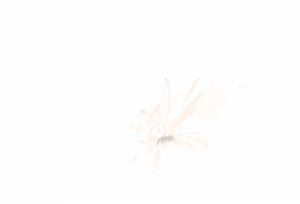 Page 1479 of 莎可莉与坠落之都 - preview thumbnail