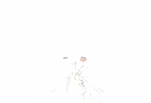 Page 691 of 莎可莉与坠落之都 - preview thumbnail