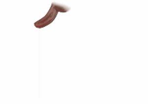Page 236 of Yasagure!! Usagi Seikatsu - preview thumbnail