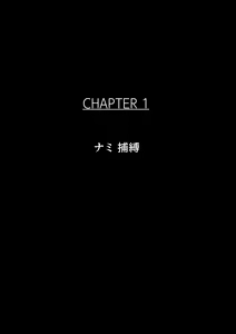 Page 2 of B-Kyuu Archives 2 Torawareta Onna Kaizoku - preview thumbnail