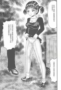 Page 109 of Kanzen Nakadashi Manyuaru - Perfect Manual of Ejaculation in the Vagina - preview thumbnail