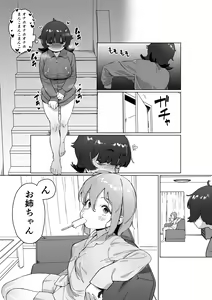 Page 20 of Hikikomori no Ane ni Chinchin ga Haetara - preview thumbnail