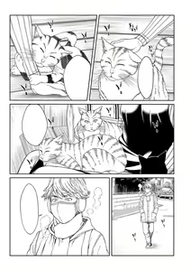 Page 332 of Orgasm x Orgasm "Tokusouban" "FANZA Gentei" - preview thumbnail
