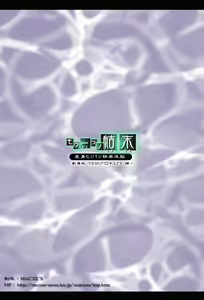Page 25 of Mou Hitotsu no Ketsumatsu  Henshin Heroine Kairaku Sennou ~Gekijouban Yes!! Precure 5 Hen~ - preview thumbnail