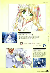 Page 43 of IZUMO 2 Visual Fan Book - preview thumbnail