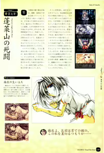 Page 51 of IZUMO 2 Visual Fan Book - preview thumbnail