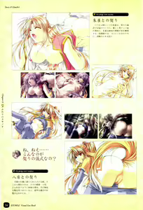 Page 56 of IZUMO 2 Visual Fan Book - preview thumbnail