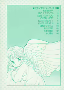 Page 3 of BLACK PACKAGE - preview thumbnail