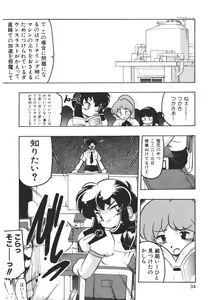 Page 33 of Experience - preview thumbnail