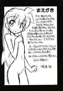 Page 3 of TS - preview thumbnail