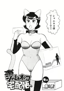 Page 5 of Shamese's Delivery Service - preview thumbnail