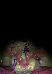 Page 64 of 2024/11/20 - preview thumbnail