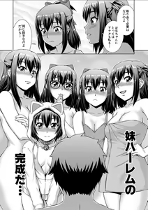 Page 81 of Imouto to Ecchi Suru no wa, Onii-chan no Gimu da yo ne! -  It is My Brother's Duty to Have Sex with My Sister - preview thumbnail