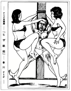 Page 1623 of Namio Harukawa The Ultimate Collection - preview thumbnail