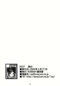 Page 29 of RE07 - preview thumbnail