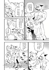 Page 21 of GALEO7 - preview thumbnail