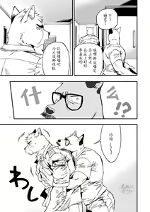 Page 8 of GALEO7 - preview thumbnail