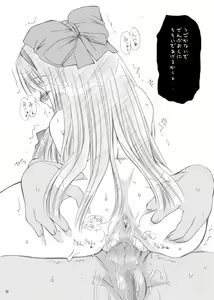 Page 25 of CH 1 - preview thumbnail