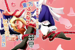 Touhou Futanari Shaseikanri Goudoushi — hentai manga cover on Fhentai