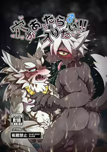 Ana ga Attara Hairitai!! — hentai manga cover on Fhentai
