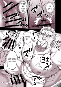 Page 46 of BEAR - preview thumbnail