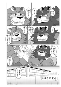 Page 2 of DDLION 1 - preview thumbnail