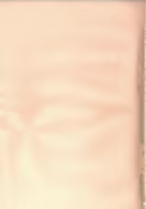 Page 11 of Shoujo Ryuu Koufuku Kaku Shu Ron - preview thumbnail
