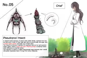 Page 34 of Insect Research Report No.1~23 - preview thumbnail