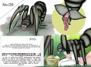 Page 54 of Insect Research Report No.1~23 - preview thumbnail