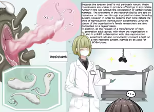 Page 6 of Insect Research Report No.1~23 - preview thumbnail