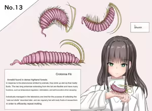 Page 71 of Insect Research Report No.1~23 - preview thumbnail