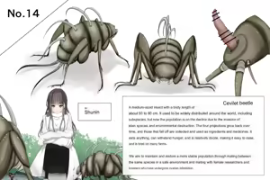Page 74 of Insect Research Report No.1~23 - preview thumbnail