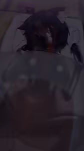 Page 418 of Fanbox ~2024-11-06 - preview thumbnail