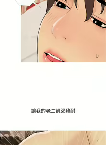Page 287 of 糖果爸爸的抢婚大作战 | 糖果爸爸的搶婚大作戰 1-35 END - preview thumbnail