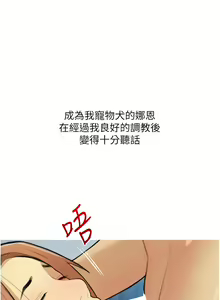 Page 346 of 糖果爸爸的抢婚大作战 | 糖果爸爸的搶婚大作戰 1-35 END - preview thumbnail