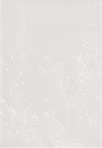 Page 4 of THE FOUR SQUARE CARTOON OF ANIMAL WORLD - preview thumbnail