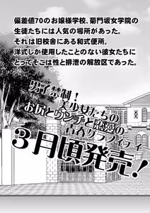 Page 20 of Ougon Taiken 5 - preview thumbnail