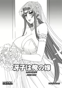 Page 525 of MAIDOLL 飛燕 - preview thumbnail
