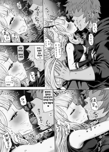 Page 15 of Cagliostro to Himitsu no Renkinjutsu | 칼리오스트로와 비밀의 연금술 II - preview thumbnail