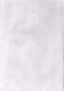 Page 2 of wish - preview thumbnail