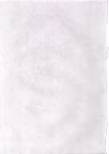 Page 46 of wish - preview thumbnail