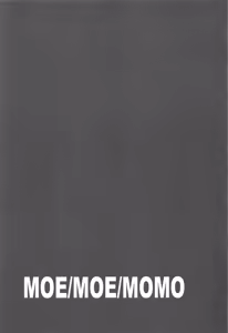 Page 18 of MOE/MOE/MOMO - preview thumbnail
