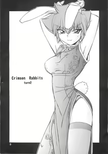 Page 2 of Crimson Rabbits turn2 - preview thumbnail