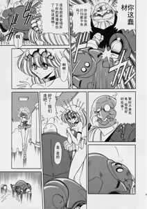 Page 19 of ROBIN - preview thumbnail