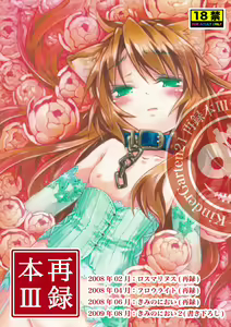 KinderGarten21 Sairokuhon 3 - hentai manga cover image