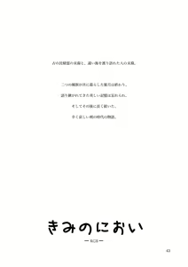 Page 43 of KinderGarten21 Sairokuhon 3 - preview thumbnail